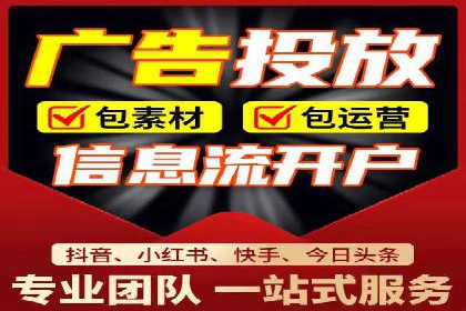 SEM代运营服务公司案例分析：数据驱动营销策略